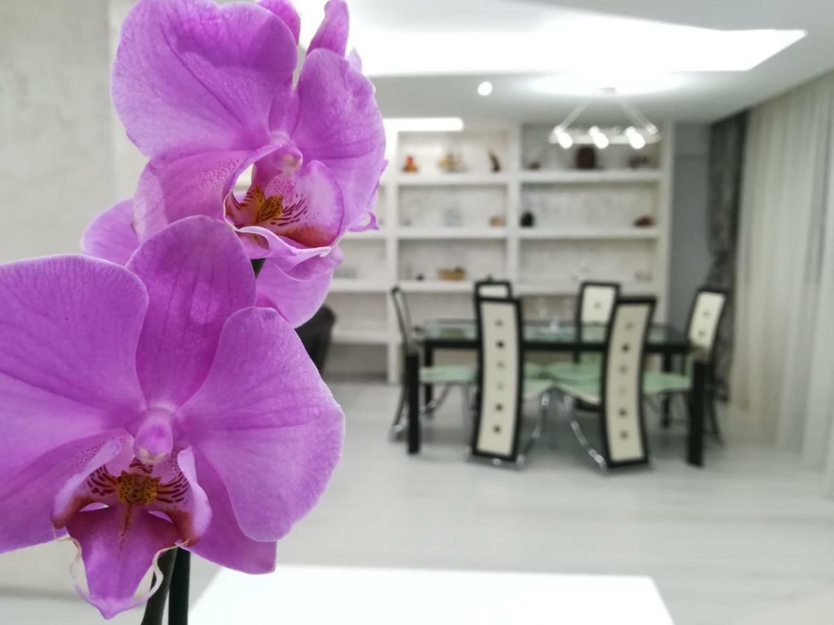 Paradise Apartament บราชอฟ ภายนอก รูปภาพ