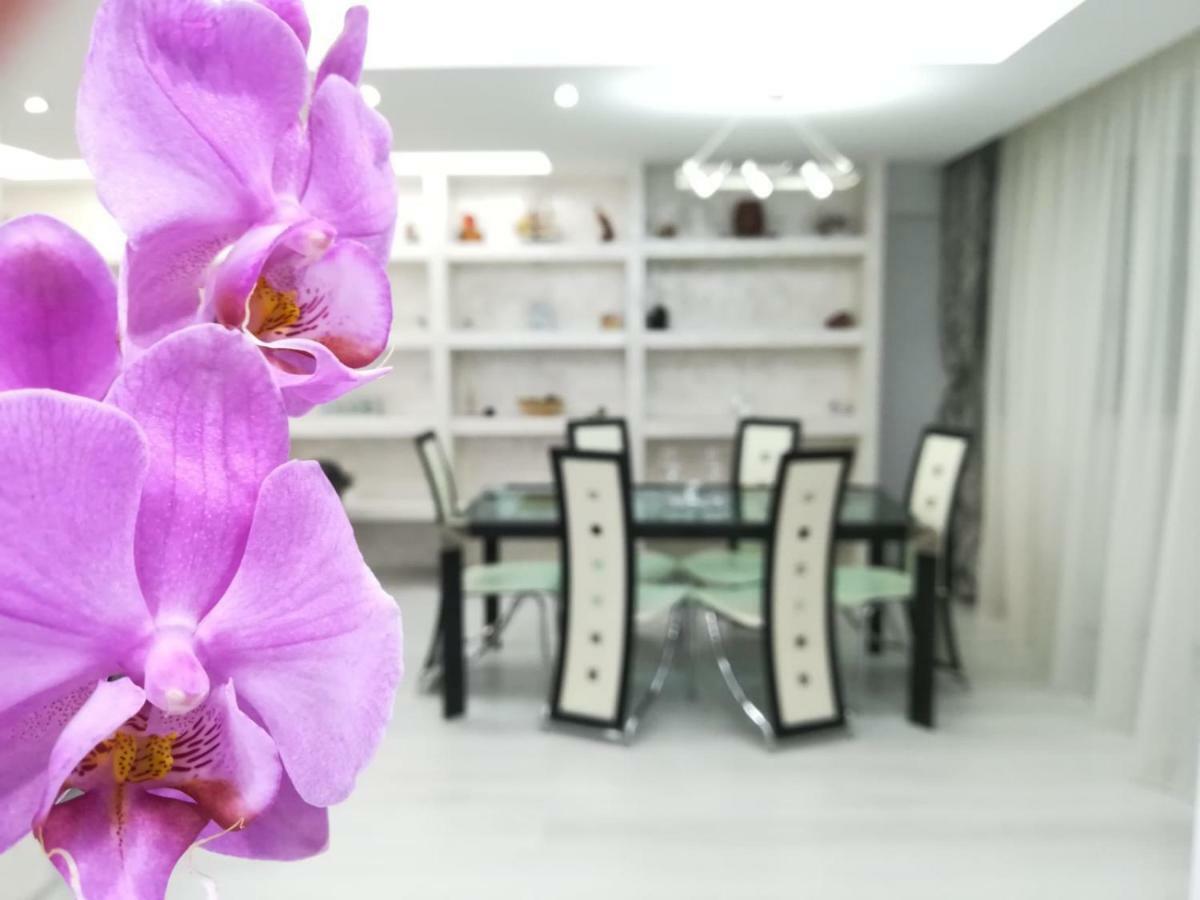 Paradise Apartament บราชอฟ ภายนอก รูปภาพ